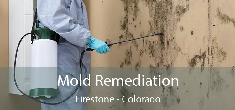 Mold Remediation Firestone - Colorado