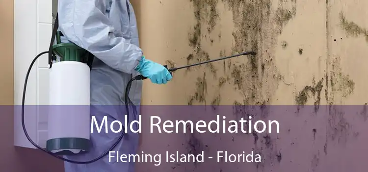 Mold Remediation Fleming Island - Florida