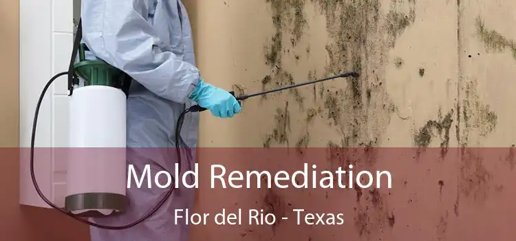 Mold Remediation Flor del Rio - Texas