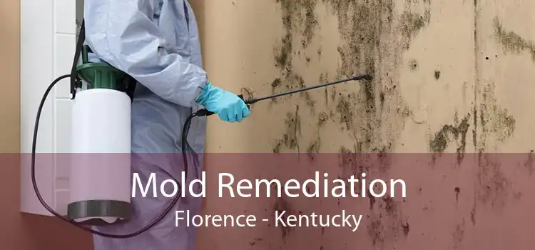 Mold Remediation Florence - Kentucky