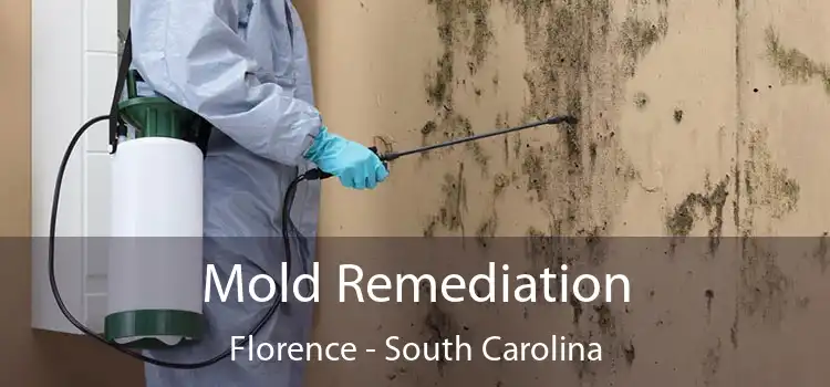 Mold Remediation Florence - South Carolina