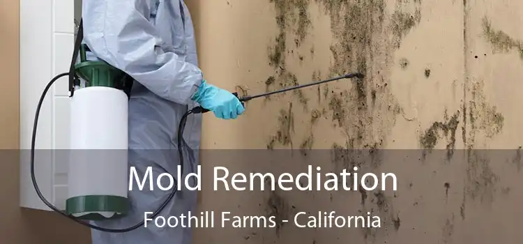 Mold Remediation Foothill Farms - California