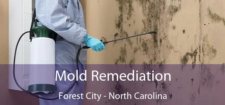 Mold Remediation Forest City - North Carolina