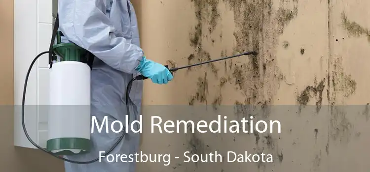 Mold Remediation Forestburg - South Dakota