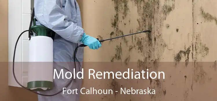 Mold Remediation Fort Calhoun - Nebraska