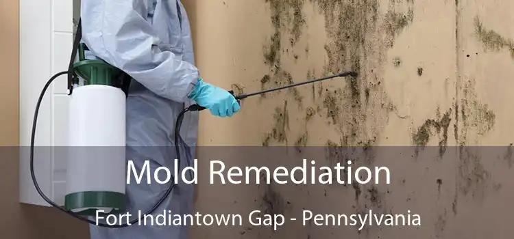 Mold Remediation Fort Indiantown Gap - Pennsylvania