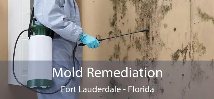 Mold Remediation Fort Lauderdale - Florida