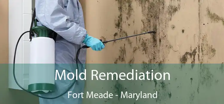 Mold Remediation Fort Meade - Maryland