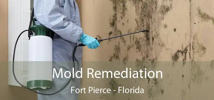 Mold Remediation Fort Pierce - Florida