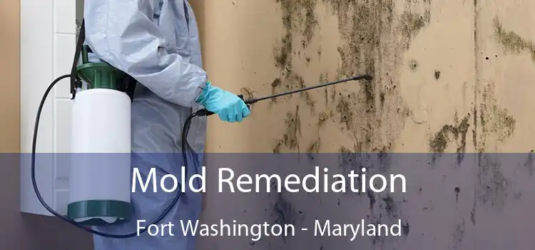 Mold Remediation Fort Washington - Maryland