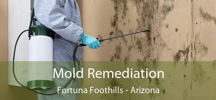 Mold Remediation Fortuna Foothills - Arizona