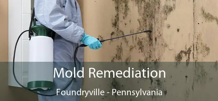 Mold Remediation Foundryville - Pennsylvania