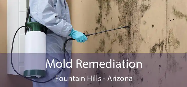 Mold Remediation Fountain Hills - Arizona