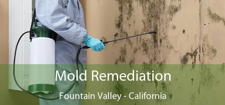 Mold Remediation Fountain Valley - California