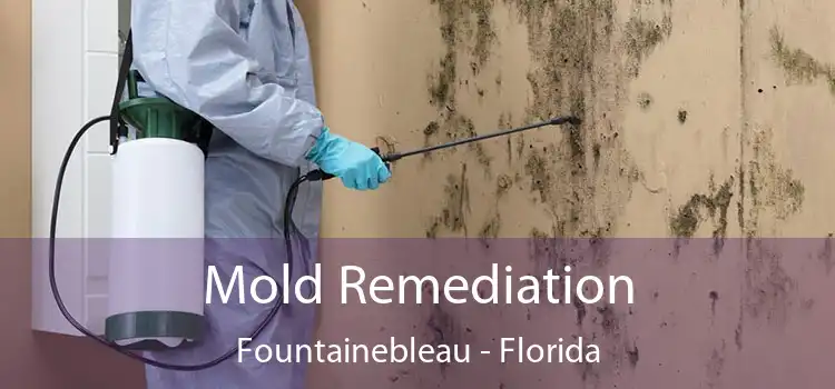 Mold Remediation Fountainebleau - Florida