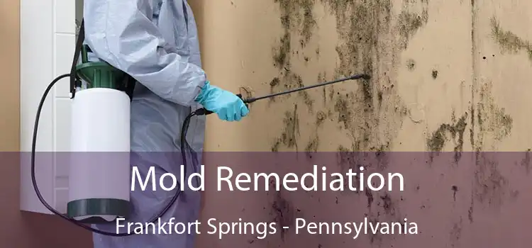 Mold Remediation Frankfort Springs - Pennsylvania