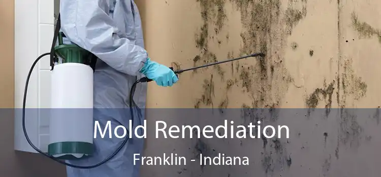 Mold Remediation Franklin - Indiana