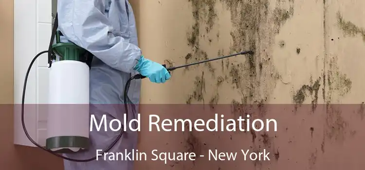 Mold Remediation Franklin Square - New York