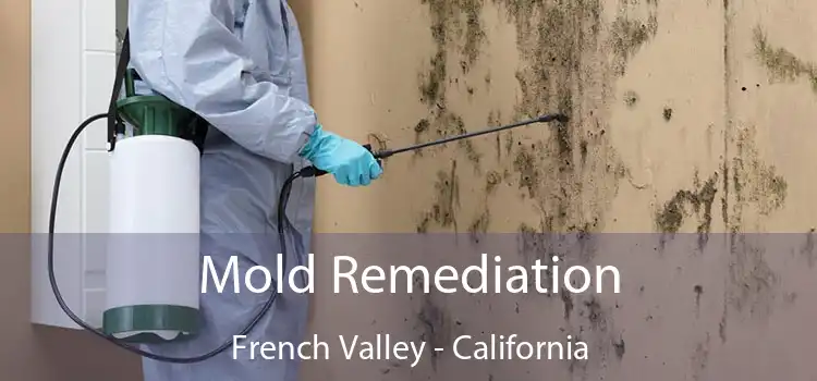 Mold Remediation French Valley - California