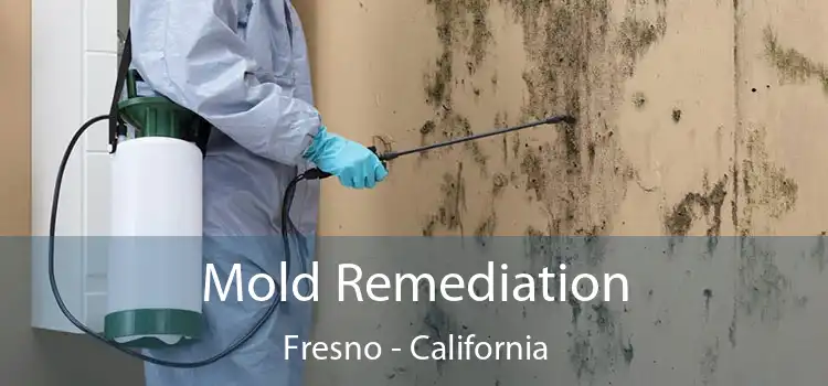 Mold Remediation Fresno - California