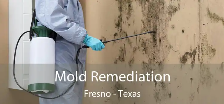 Mold Remediation Fresno - Texas