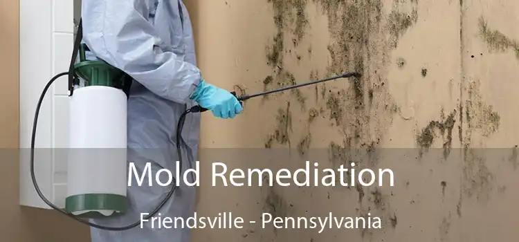 Mold Remediation Friendsville - Pennsylvania