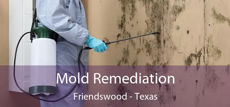 Mold Remediation Friendswood - Texas