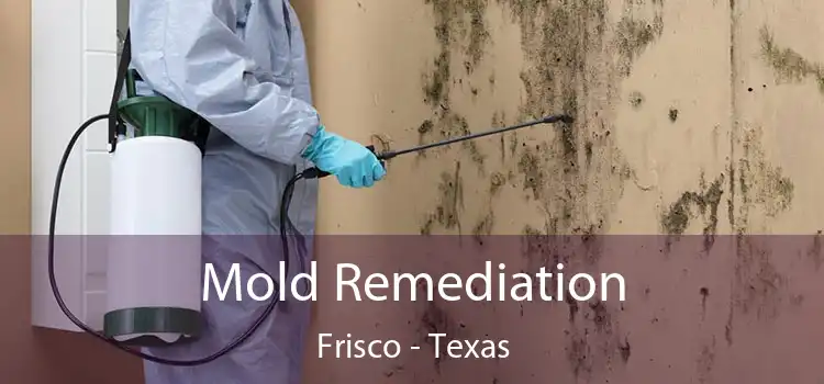 Mold Remediation Frisco - Texas