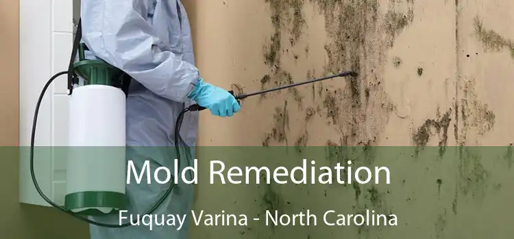 Mold Remediation Fuquay Varina - North Carolina