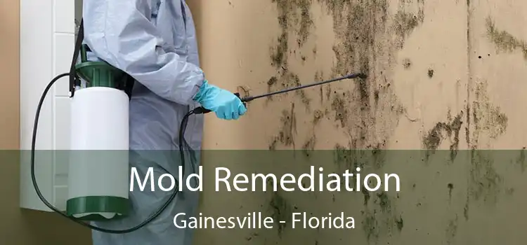 Mold Remediation Gainesville - Florida