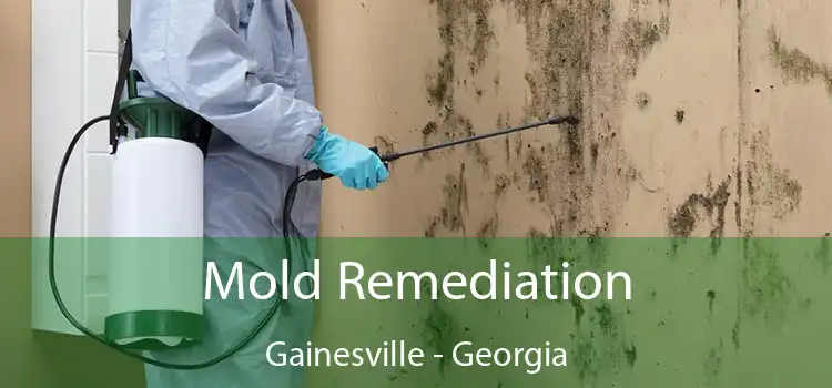 Mold Remediation Gainesville - Georgia