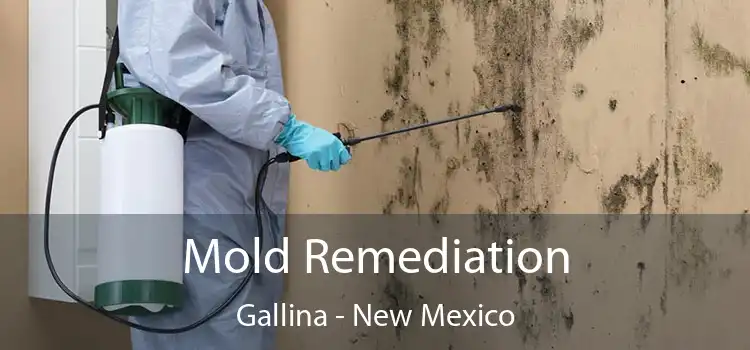 Mold Remediation Gallina - New Mexico