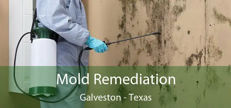 Mold Remediation Galveston - Texas