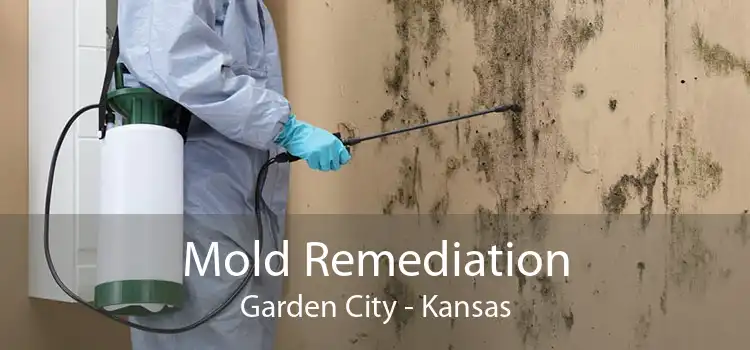 Mold Remediation Garden City - Kansas