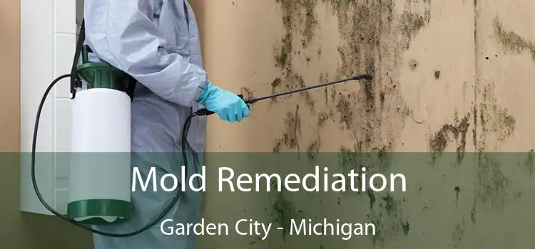 Mold Remediation Garden City - Michigan