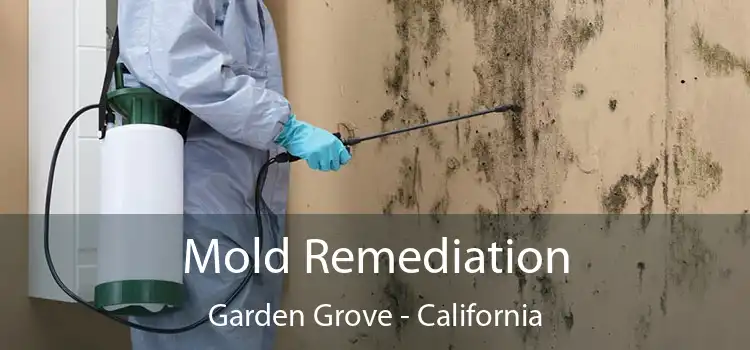 Mold Remediation Garden Grove - California