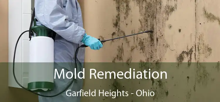 Mold Remediation Garfield Heights - Ohio