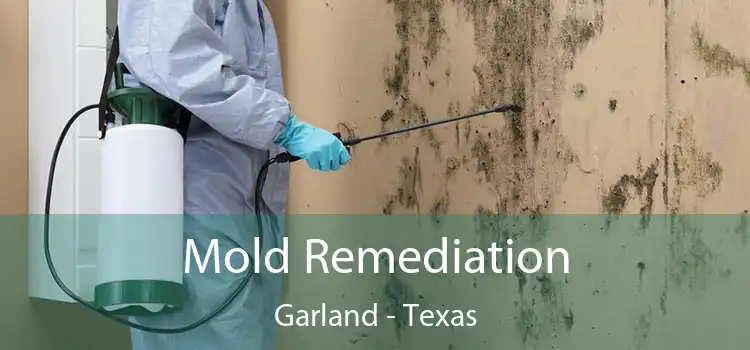 Mold Remediation Garland - Texas