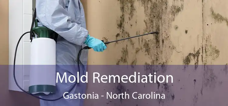 Mold Remediation Gastonia - North Carolina