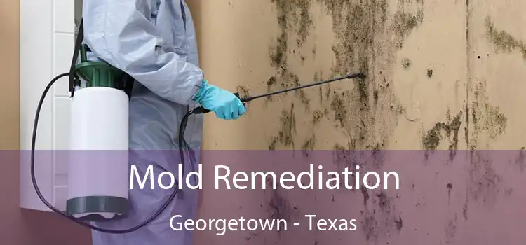 Mold Remediation Georgetown - Texas