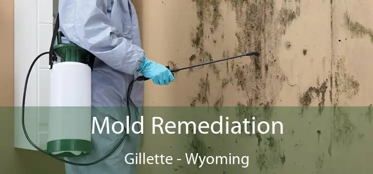 Mold Remediation Gillette - Wyoming