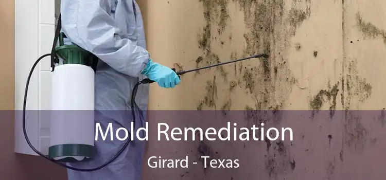 Mold Remediation Girard - Texas