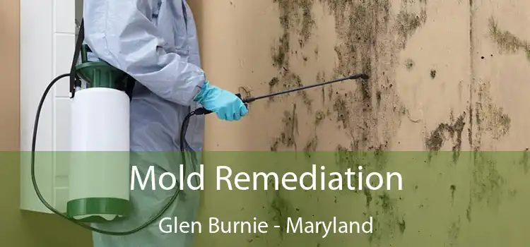 Mold Remediation Glen Burnie - Maryland