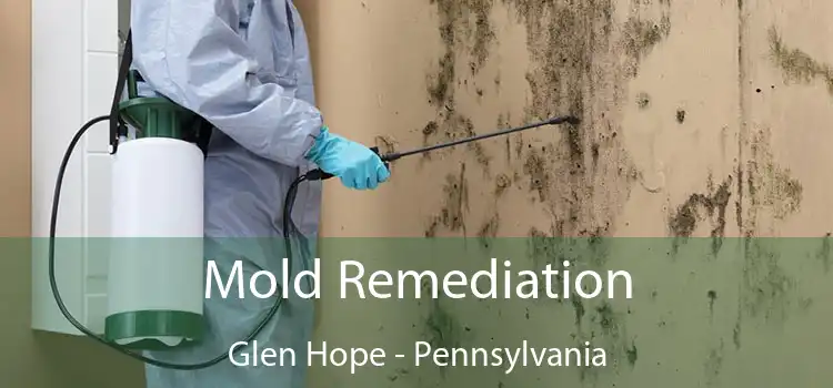 Mold Remediation Glen Hope - Pennsylvania