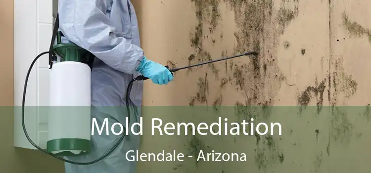 Mold Remediation Glendale - Arizona