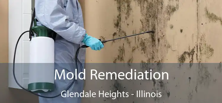 Mold Remediation Glendale Heights - Illinois