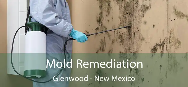 Mold Remediation Glenwood - New Mexico