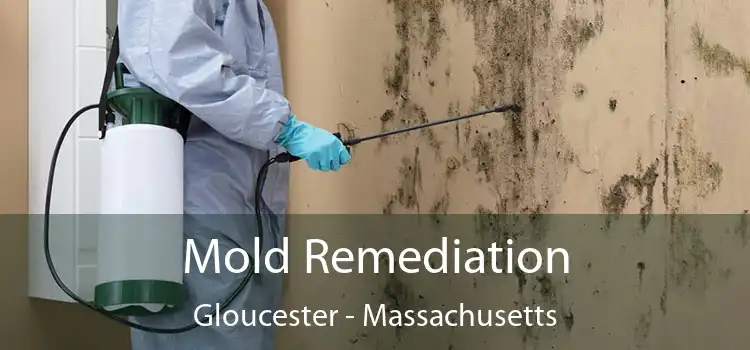 Mold Remediation Gloucester - Massachusetts