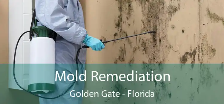 Mold Remediation Golden Gate - Florida