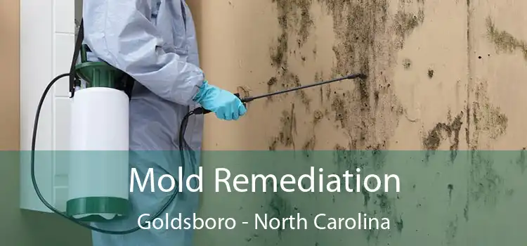 Mold Remediation Goldsboro - North Carolina